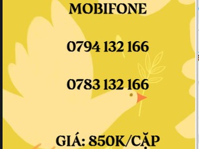 Cặp đôi trả trước mobifone - giá siêu rẻ 14