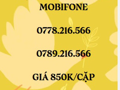 Cặp đôi trả trước mobifone - giá siêu rẻ 17