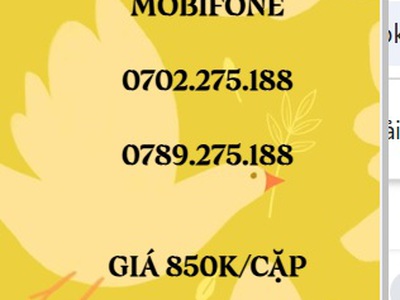 Cặp đôi trả trước mobifone - giá siêu rẻ 18