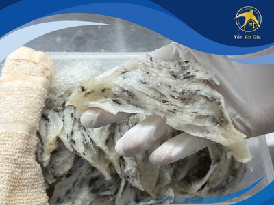 Cách chưng tổ yến đúng cách để giữ trọn dinh dưỡng 0