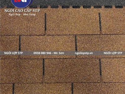 Tấm Bitum Giả Ngói   Vật Liệu Lợp Mái Mang Phong Cách Kiến Trúc Hiện Đại 0