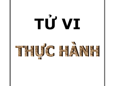 Tử Vi Thực Hành   Cách tiếp cận khoa học với tử vi 0