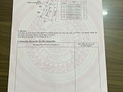 Đất đẹp tân an cương sơn lục nam giá chỉ 480 triệu 4