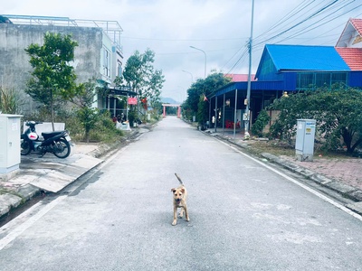 Hàng hiếm chính chủ gửi bán 2 lô đất tái định cư gia minh 0