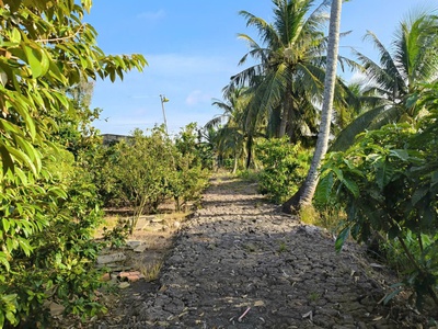 Bán đất đẹp sổ hồng riêng giá tốt. 0