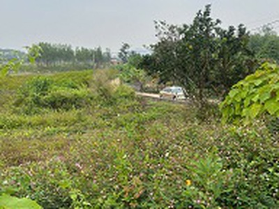 Đất đẹp tân an cương sơn lục nam giá chỉ 480 triệu 1