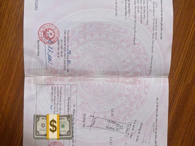 Hàng hiếm chính chủ gửi bán 2 lô đất tái định cư gia minh 4