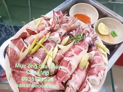 Mực ông câu ngon giá tốt toàn quốc 0