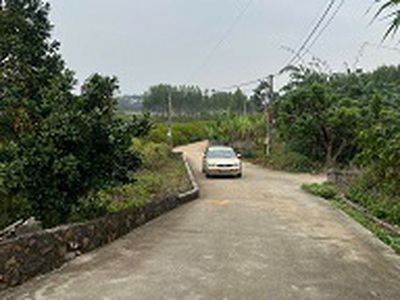 Đất đẹp tân an cương sơn lục nam giá chỉ 480 triệu 0