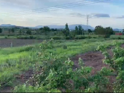 Bán 1448m2 đất thổ cư tân nghĩa - hàm tân view đẹp giá rẻ 950 triệu 2