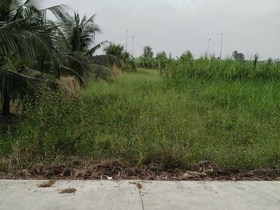 Cần bán lô đất thổ cư mặt tiền đường đan bờ kênh n3, phường tân khánh, thành phố tân an, long an cũ 0