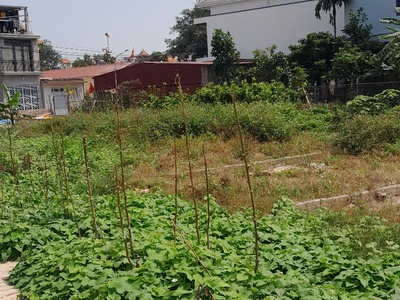 Bán lô đất gần mặt đường Lương Quán , Nam Sơn , An Dương 1