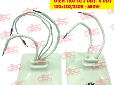 Điện trở đốt nóng Đình Thái 8