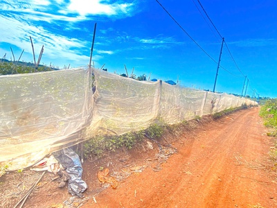 6 sào hẻm DH2 n thôn hạ, đức trọng cũ, lâm đồng 2