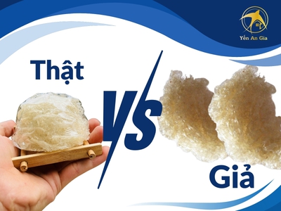 Cách phân biệt yến thô thật và giả đơn giản 0