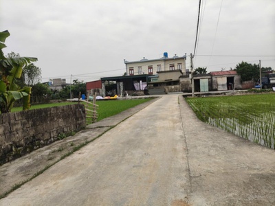 Bán đất sơn đồng quỳnh giao nay là xã minh thọ, hưng yên 3