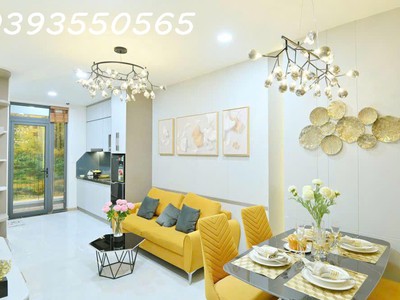 Chính chủ cần bán cc bcons solary, 400 triệu  20 , dt 47.03 m2, 2pn   1wc, giá 1,753 tỷ 2