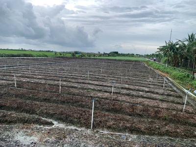 Bán gấp đất nền thổ cư bà lẫy sổ sẵn công chứng ngay 2