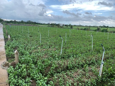 Bán gấp đất nền thổ cư bà lẫy sổ sẵn công chứng ngay 1