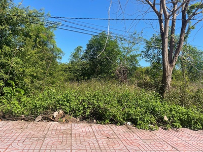 Bán 5.1 sào đất odt mặt tiền nguyễn du - lagi gần biển cam bình 3.3tr/m2 1