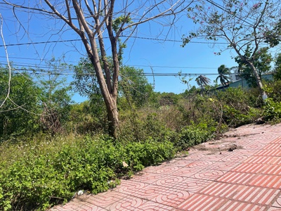 Bán 5.1 sào đất odt mặt tiền nguyễn du - lagi gần biển cam bình 3.3tr/m2 4