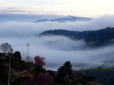 Đất đẹp giá tốt chính chủ cần bán phường xuân trường, tp đà lạt , lâm đồng 3