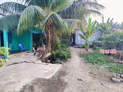 Cần bán 307m2 đất thổ cư hẻm xe hơi khi cải tạo lại 1