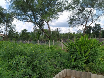 Chính chủ bán siêu phẩm đất đẹp - phù hợp cho mọi gia đình 3