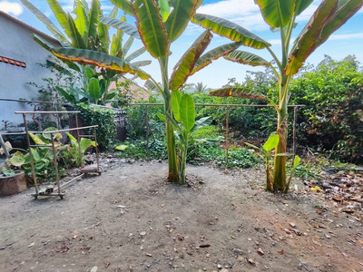 Cần bán 307m2 đất thổ cư hẻm xe hơi khi cải tạo lại 2