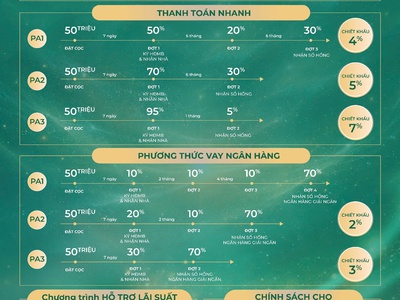 Bán căn hộ chung cư The Emerald Golf View, TPHCM - Sổ đỏ chính chủ 4