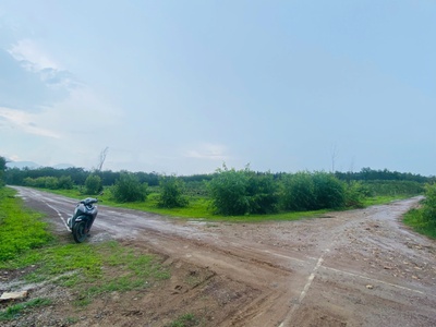 Bán 2.5 sào đất lô góc 2 mặt đường số 8 - tân hà - hàm tân giá ngộp 33tr/m ngang 2