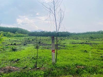 Bán 2.5 sào đất lô góc 2 mặt đường số 8 - tân hà - hàm tân giá ngộp 33tr/m ngang 1