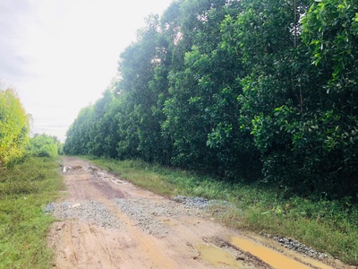 Bán 2.5 sào đất lô góc 2 mặt đường số 8 - tân hà - hàm tân giá ngộp 33tr/m ngang 4