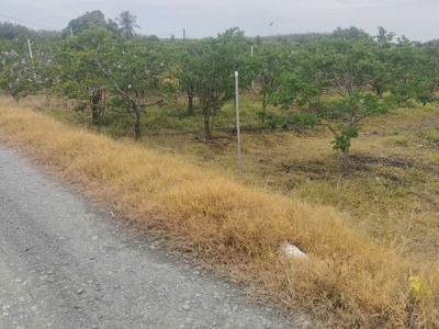 Cần bán đất trong tp tây ninh giá 9.6 tỷ 2