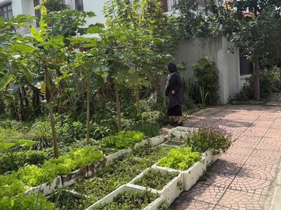 Bán đất Chung cư Lương Quán Nam Sơn, An Dương 195m , mặt tiền 10m, đường 12m chỉ 30tr/m 2