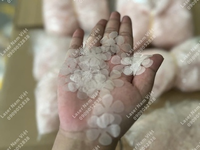 Dịch vụ khắc laser hoa vải bằng phương pháp laser 1