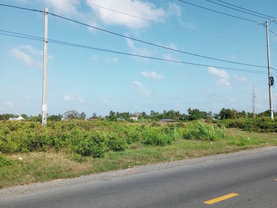 Bán gần 1.3 hecta Đất Phước Long, Bạc Liêu 2