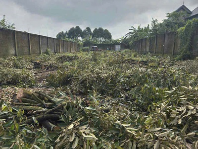 Chính chủ bán 300m2 đất full thổ cư tại xã phú bình, huyện tân phú, đồng nai 1