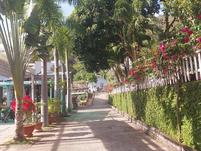 Cần nhượng lại KHU RESORT  HOMESTAY Rộng 3.500m2. Ngay cạnh Bãi Trước Vũng Tàu. 4