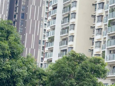 Chính chủ bán gấp căn chelsea park, tầng trung, dt 98m2 , 37 trần kim xuyến, cầu giấy 3