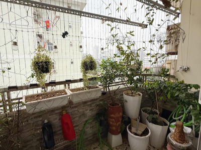 Bán nhanh căn cc n03, ngõ 84, chùa láng, 7.x tỷ, 75m2 view đẹp hàng hiếm - full nội thất 4