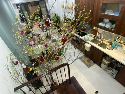 Nhà gara ô tô trung tâm ngọc thụy 6 tầng ngõ 5m 3