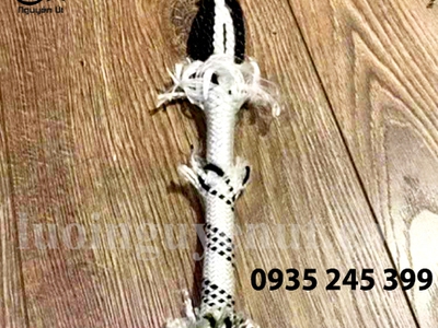 Dây đu sơn nước tòa nhà cao tầng út nguyễn 7