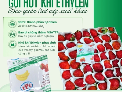 Gói hút khí Ethylene giúp kéo dài thời gian bảo quản trái cây xuất khẩu 1