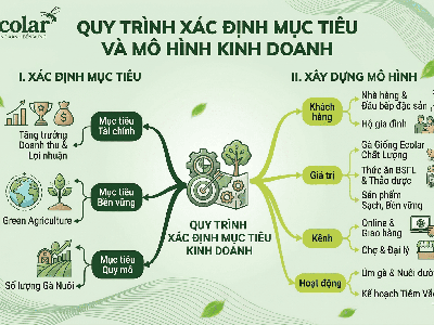 Hướng Dẫn Kỹ Thuật Nuôi gà Ai Cập Hiệu Quả Cho Người Mới Khởi Nghiệp 0