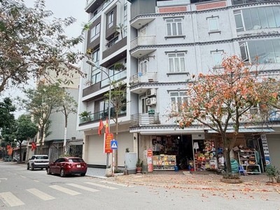 Đất mặt phố giang biên- việt hưng 64m2 - hơn 18 tỷ 0