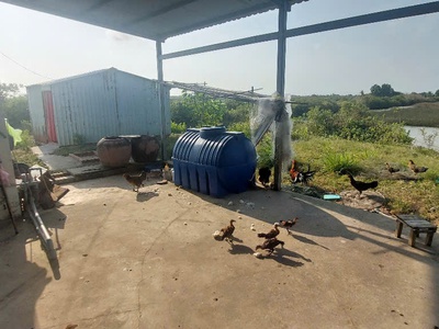 Cơ hội vàng: sở hữu 1,8 hécta đất thủy sản   tặng ngay nhà kiên cố full nội thất 1