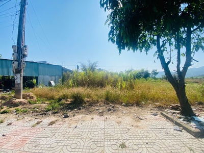 Bán 5m x 55m đất mặt tiền quốc lộ 55 - tân lập - hàm thuận nam giá mềm 1