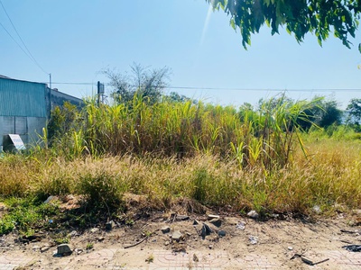 Bán 5m x 55m đất mặt tiền quốc lộ 55 - tân lập - hàm thuận nam giá mềm 4