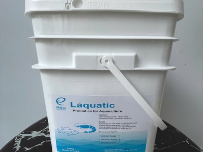 Men vi sinh Laquatic, men tiêu hóa hàng nhập khẩu Mỹ cho tôm cá 0